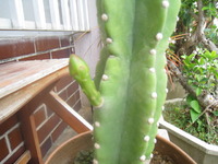 ちょこっといいこと。 2010/07/12 20:29:18