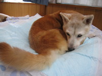 月末・・・・・・・・・・・ 2010/07/31 14:57:04