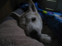 ９月。。。。。 2010/09/08 21:52:57