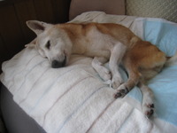 引きこもり？！ 2010/09/14 21:22:01