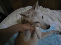 もうすぐ、１２月・・・・・ 2010/11/27 17:53:21