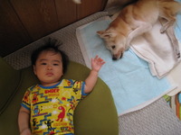 ６月。 2011/06/07 21:23:38
