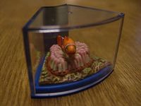 美ら海アクアリウム♪