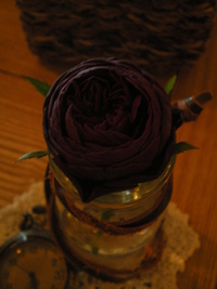 Beautiful ROSE☆ 2011/03/08 21:38:03