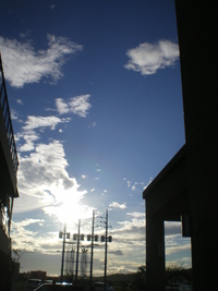 雨あがりの・・・ 2011/11/30 17:51:36