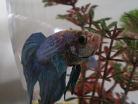 キングストン 2011/12/02 14:43:02