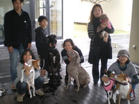 Cafe with your  dog !!!! 2012/01/15 18:34:44