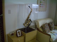 楽器ケース 2008/07/08 23:20:57