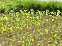 晴れました(^o^)丿 2011/12/05 16:03:54