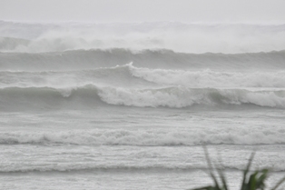 台風４号