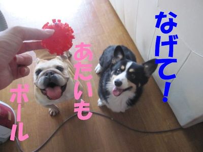 ボールへの執着