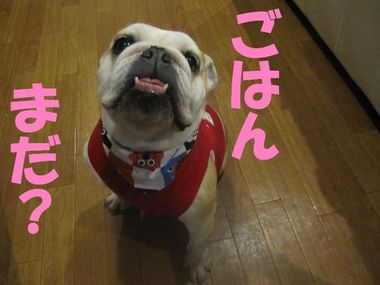全員集合！