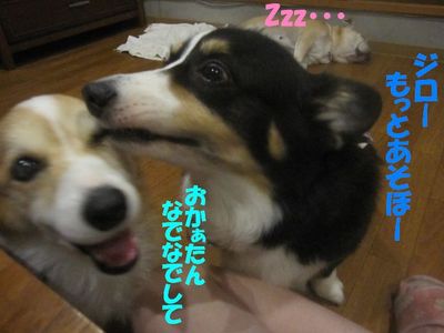 ママ頑張るよ