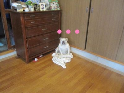 次郎の様子
