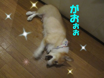 ママ頑張るよ