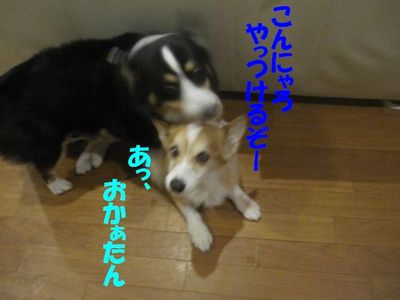 ママ頑張るよ