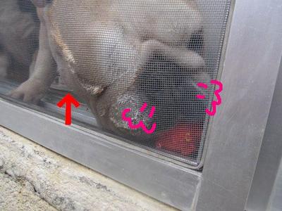ボールへの執着