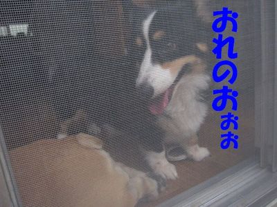 ボールへの執着