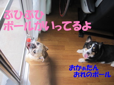 ボールへの執着
