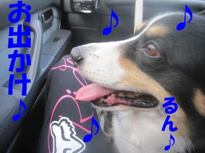 今年の目標