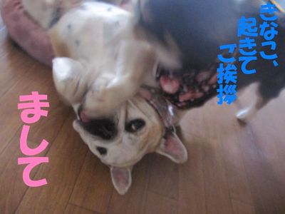 今年の目標