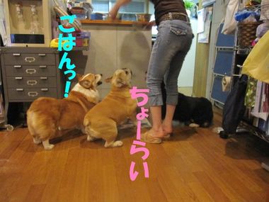 プチ情報
