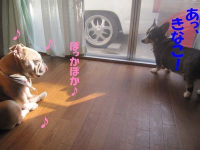 犯人確保！