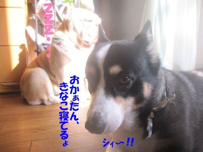 犯人確保！