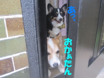 ママを目で操るのは