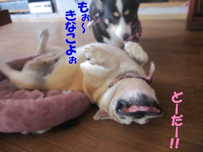 今年の目標