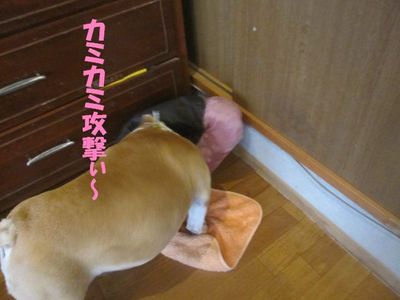 吾郎の気持ち