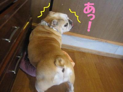 吾郎の気持ち