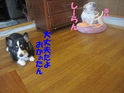 吾郎の気持ち
