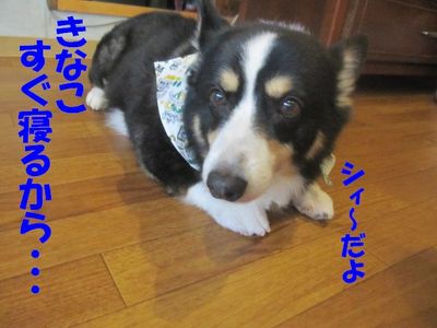 吾郎の気持ち