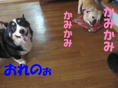 ボールへの執着