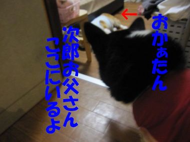 家の中心は・・・
