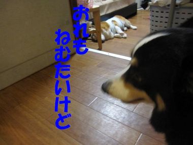 家の中心は・・・