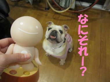 気が付いたこと