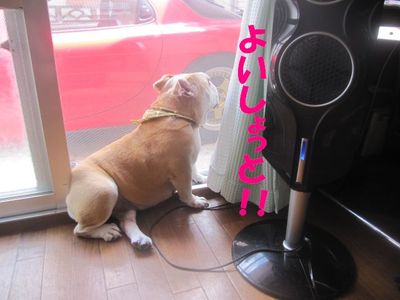 ママを目で操るのは