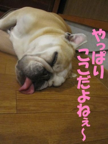 プチ情報