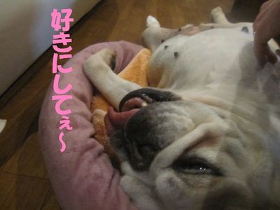やめてぇ～。(￣∇￣;)ｶﾞｰﾝ