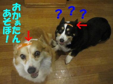 プチ情報