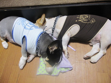 気が付いたこと