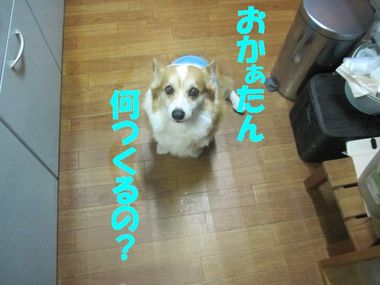 明日遊ぼうね