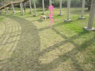 今年の目標