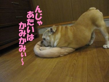 お別れ近い？
