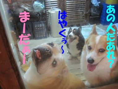 プチ情報