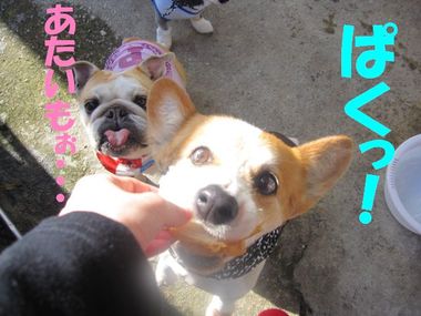 気が付いたこと