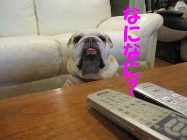 家の中心は・・・