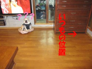 明日遊ぼうね